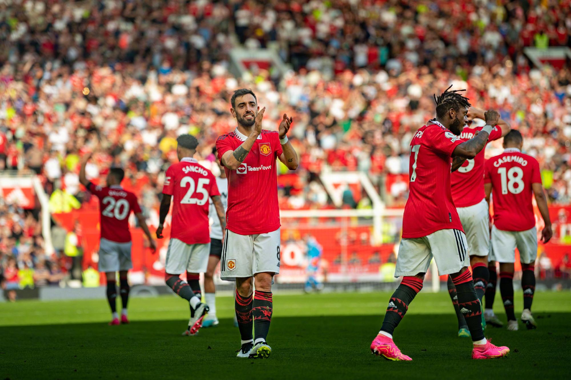 种典型的反 种典型的反