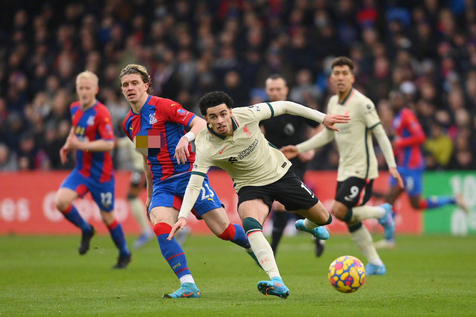 他在国际乒 他在国际乒